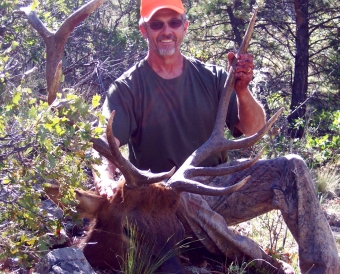 Dan's 3rd Loco Elk!