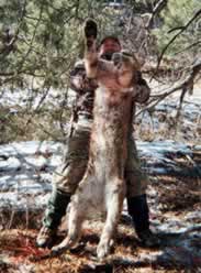 Kelly's 2009 Mountain Lion from his hunt with Roger Rupp