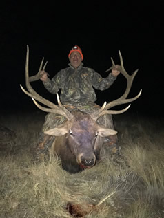 Tom's 2011 Bull Scored 358