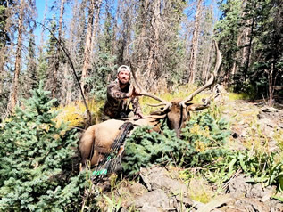 Andrew's Archery Bull