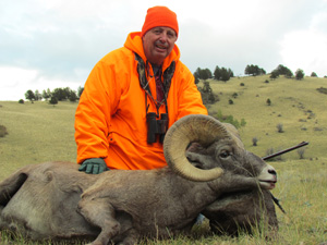 George's 2011 Big Horn Sheep